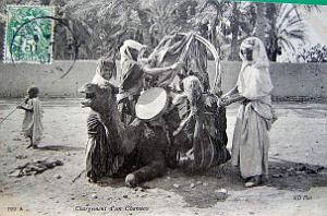 Sud oranais 033